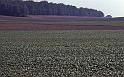 WT 3900 380-03 Poland